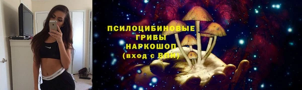 МДПВ Каменск-Шахтинский