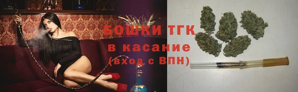 СК Каменка