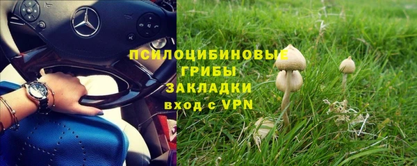 МДПВ Каменск-Шахтинский