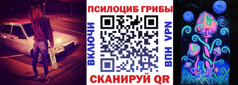 Купить закладки  Анадырь  Псилоцибиновые грибы Psilocybine cubensis 